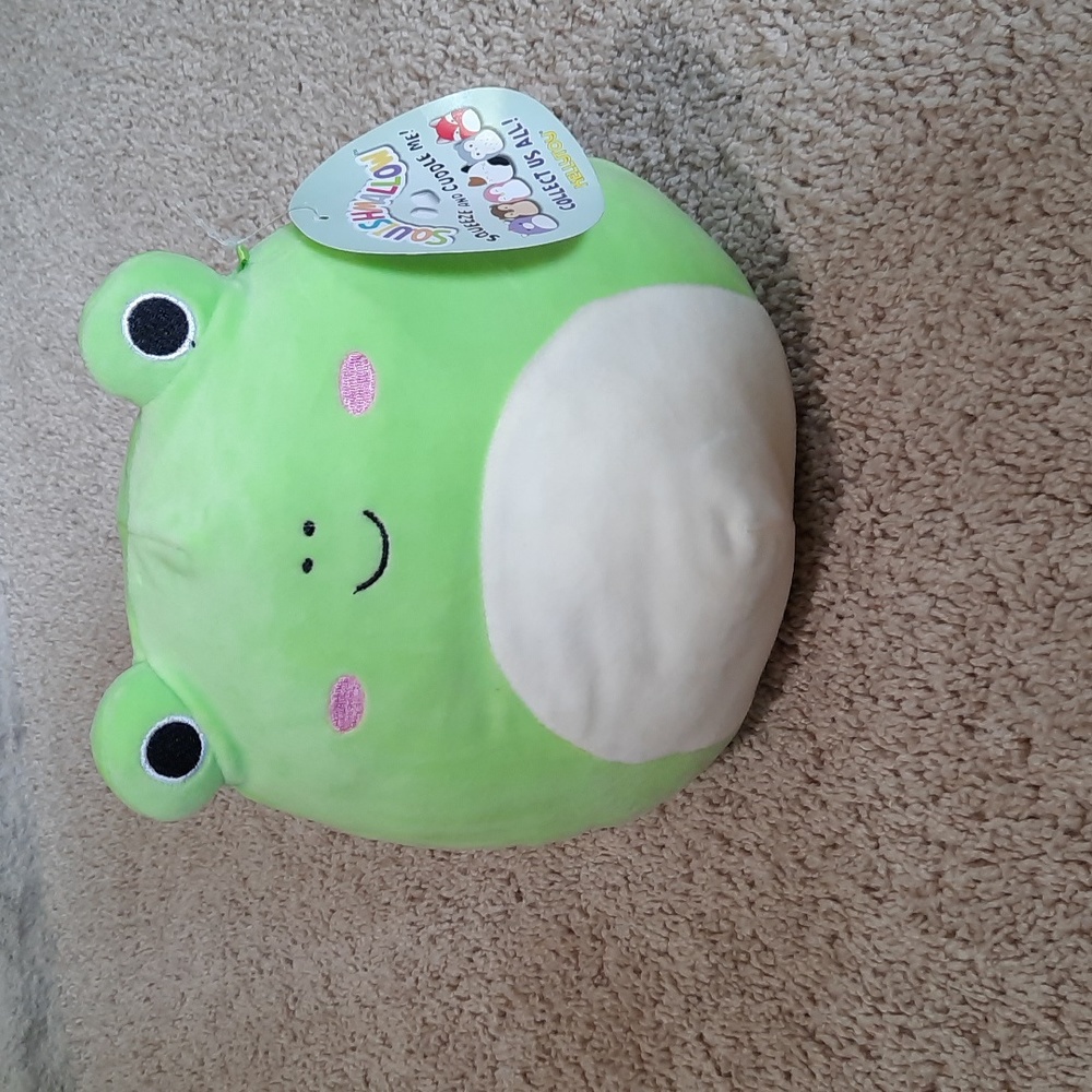 NWT Squishmallow 8" frog Wendy